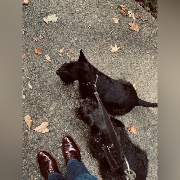 Meet your Posher, B - Picture 9 of 9